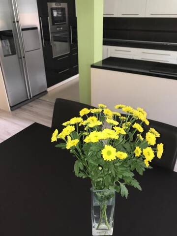Фото номера Апартаменты - Двухуровневые Апартаменты Apartament Przy Sadzie г. Дравско-Поморске 52