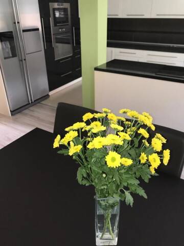 Фотографии Апартаменты Apartament Przy Sadzie г. Дравско-Поморске (Польша) №2 Фото Апартаменты Apartament Przy Sadzie г. Дравско-Поморске 2